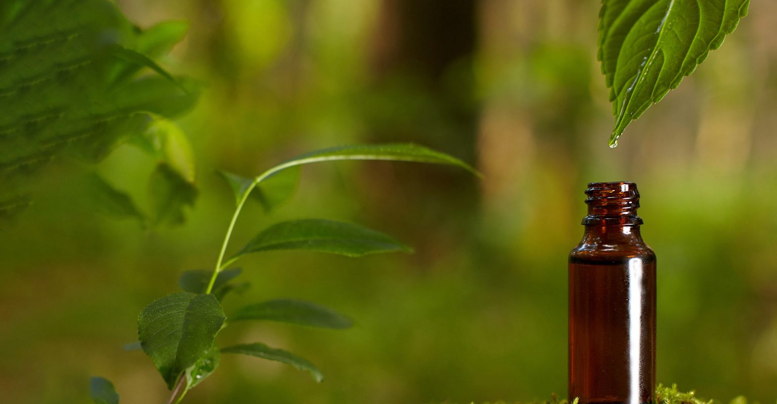 what-is-naturopathy – The Urban Naturopath