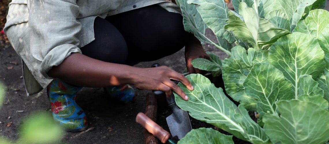 163922041_2900490876886483_5620227464803041418_n